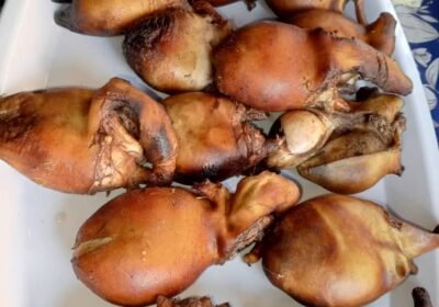 202adcb5-78b2-46f0-8acb-f3133acc4ffb